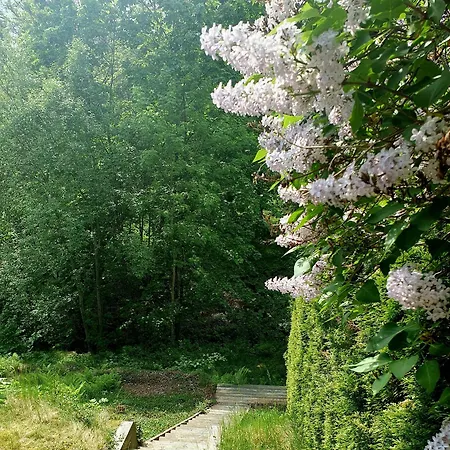 Tranquil In Picturesque Neighborhood Appartement