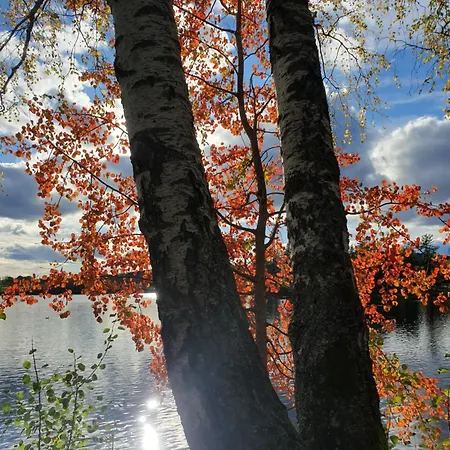 Lejlighed Tranquil In Picturesque Neighborhood