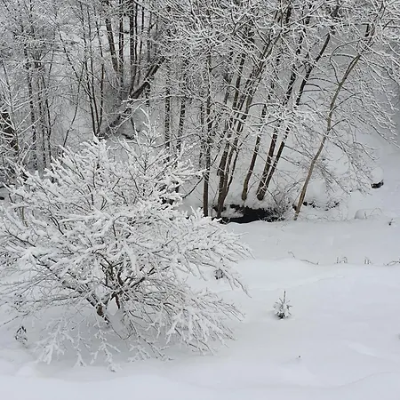 Tranquil In Picturesque Neighborhood Όσλο