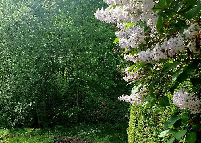Tranquil In Picturesque Neighborhood 公寓