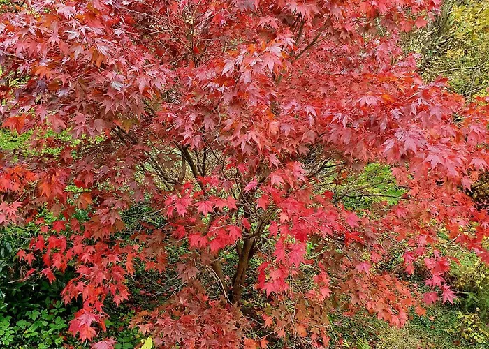 Tranquil In Picturesque Neighborhood 公寓