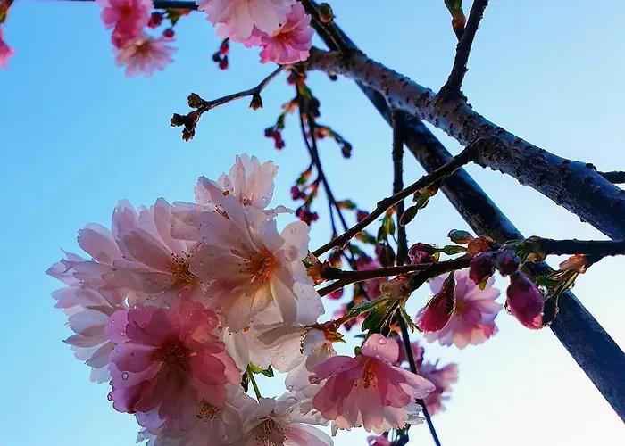 公寓 Tranquil In Picturesque Neighborhood
