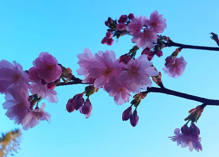Tranquil In Picturesque Neighborhood * 奥斯陆