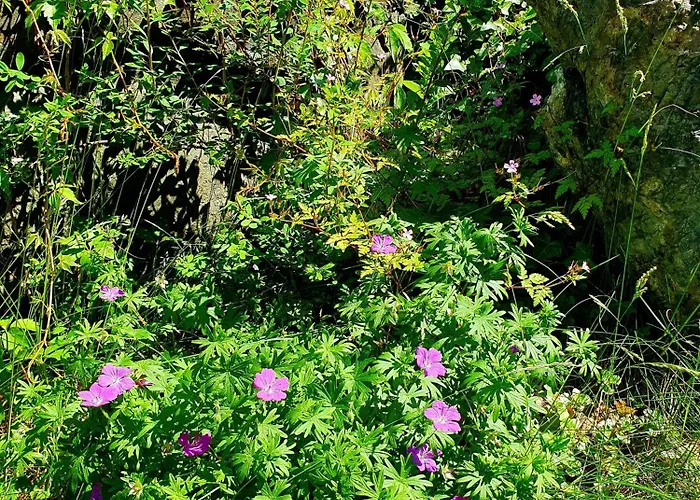 公寓 Tranquil In Picturesque Neighborhood