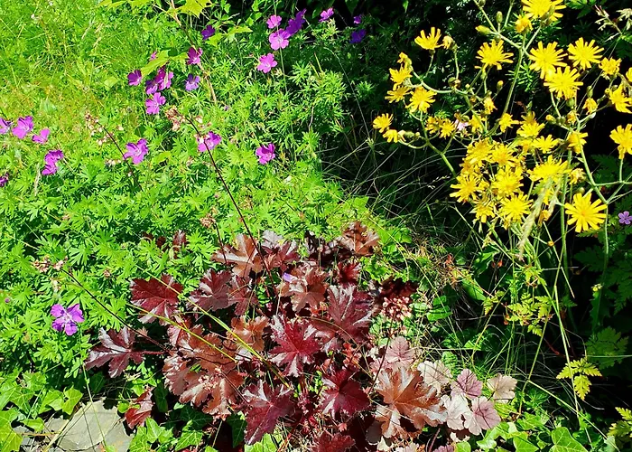 Tranquil In Picturesque Neighborhood 公寓 *