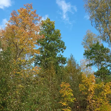 Leilighet Tranquil In Picturesque Neighborhood *