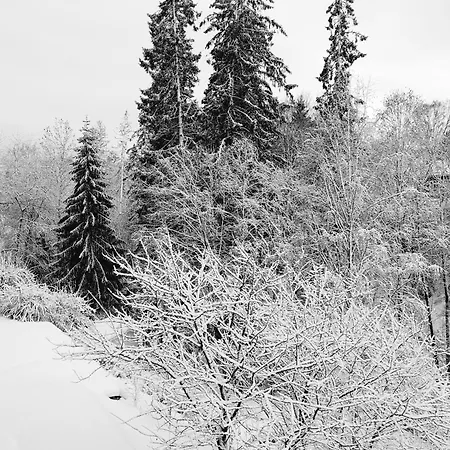 Tranquil In Picturesque Neighborhood Leilighet *